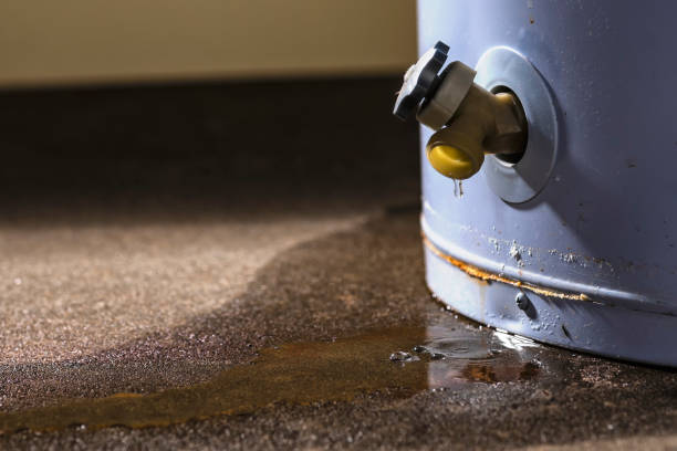Best 24/7 water damage repair  in Afton, WY