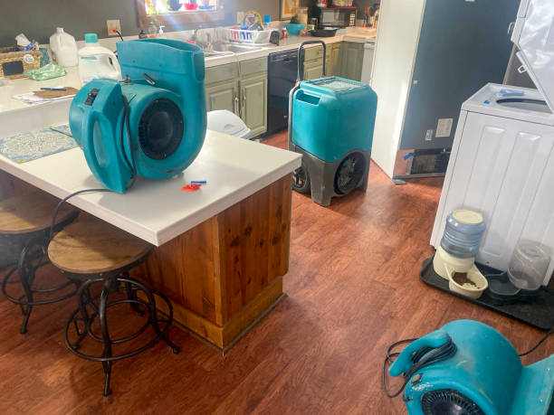 Best Water damage cleanup near me  in Afton, WY