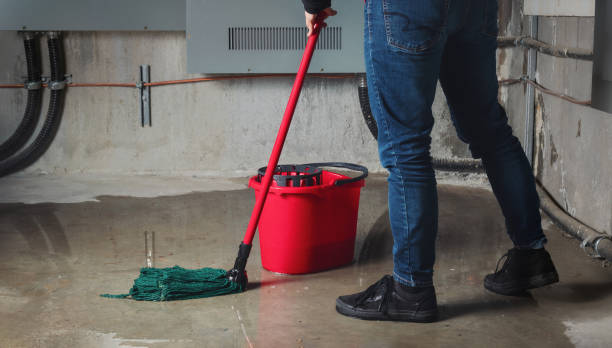 Best Professional water damage repair  in Afton, WY