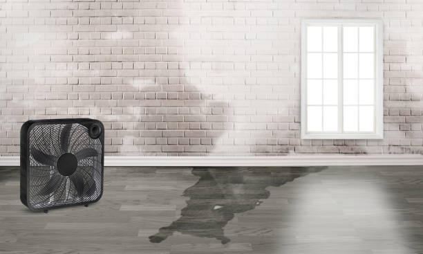 Reliable Afton, WY Water damage restoration Solutions