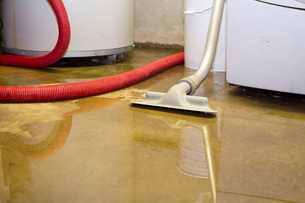 Best Flood damage cleanup  in Afton, WY