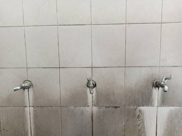  Afton, WY Water damage restoration Pros