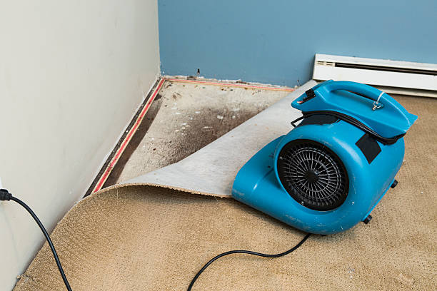 Best Water damage restoration near me  in Afton, WY